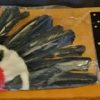 Indigenous American, Costume Headband, elastic and feathers, by 'Carnival Products' - Image 3