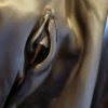 1950's Ensemble, Dress and Swing Coat, Coffee, Rayon, by 'Zanko Melbourne', size 12-14 - Image 20